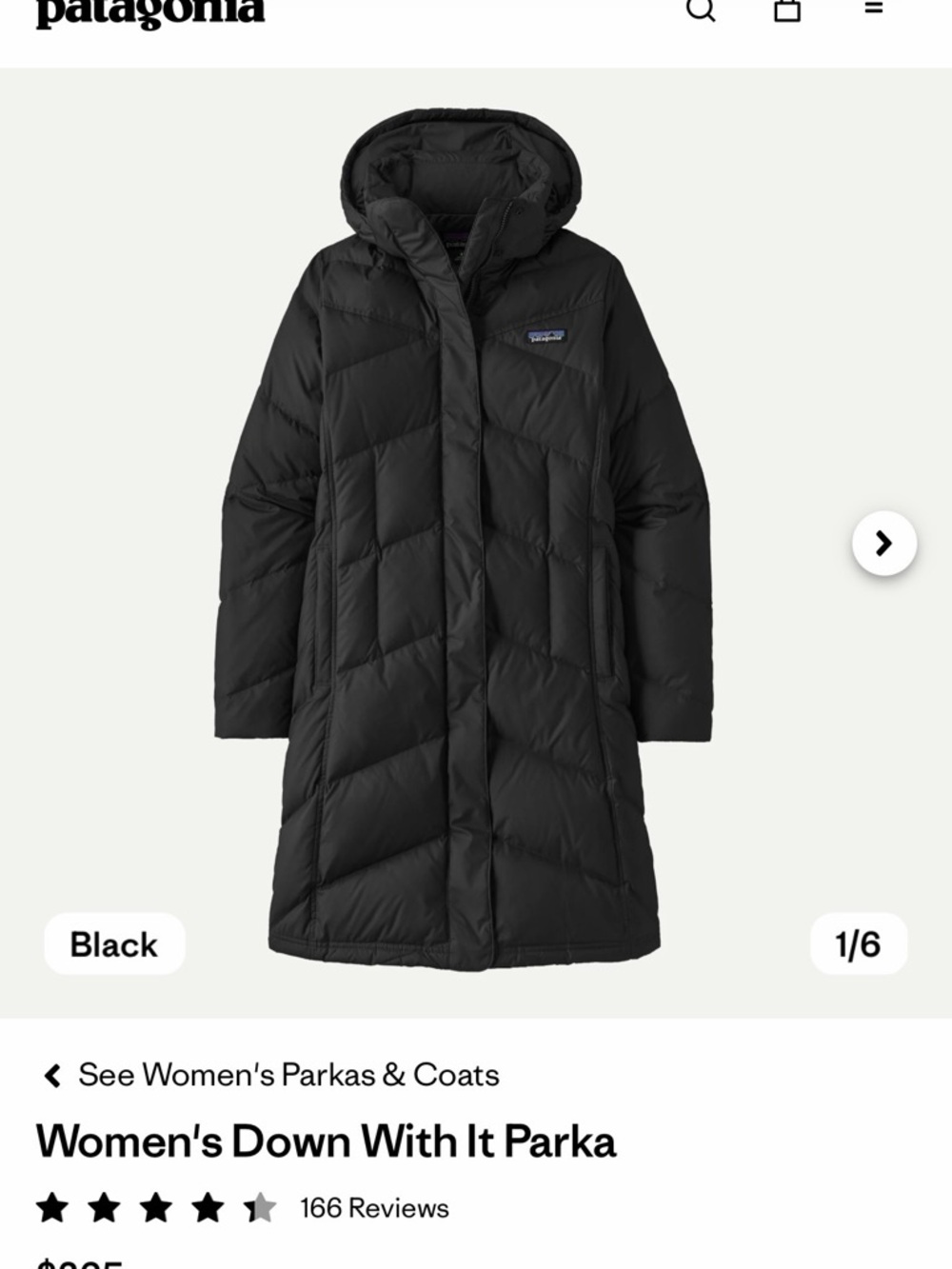 Patagonia Down With It Parka
